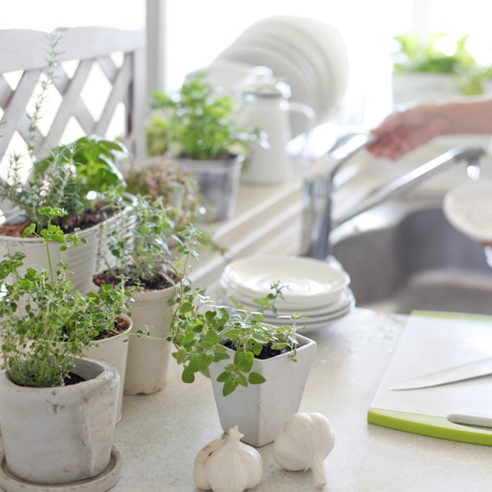 Herbs kitchen garden and woman; Shutterstock ID 159418133