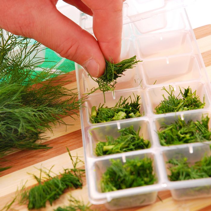 freezing the dill in ice cube mould for winter; Shutterstock ID 38673409