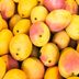 The Weird Reason That Mango Makes Your Mouth Itch