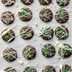 Easy Mint Thins