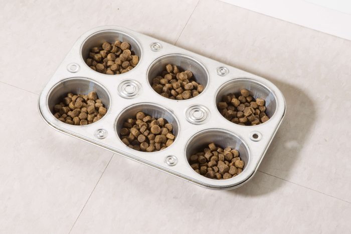 muffin tin