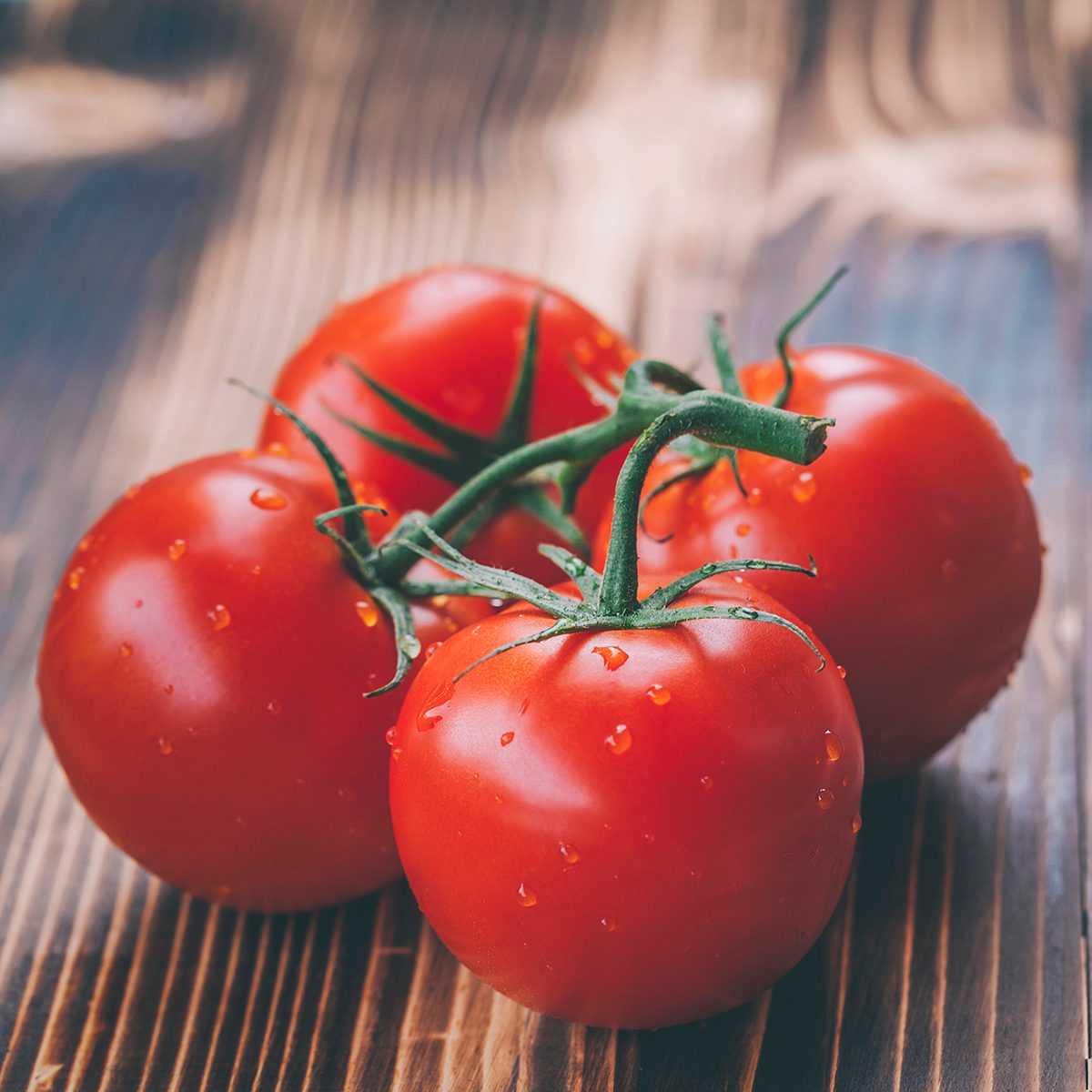 Fresh ripe red tomatoes