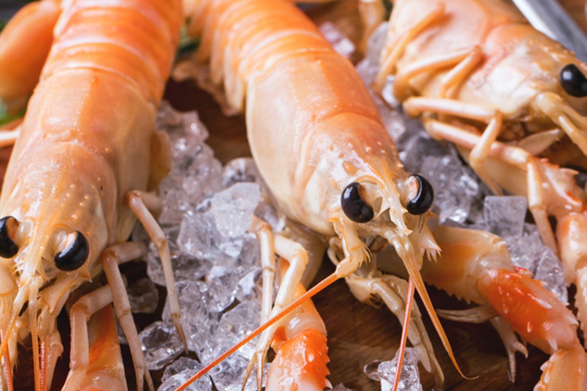 Raw langoustines on ice with herbs and lemon served on vintage cutting board over wooden table; Shutterstock ID 243778558; Job (TFH, TOH, RD, BNB, CWM, CM): Taste of Home