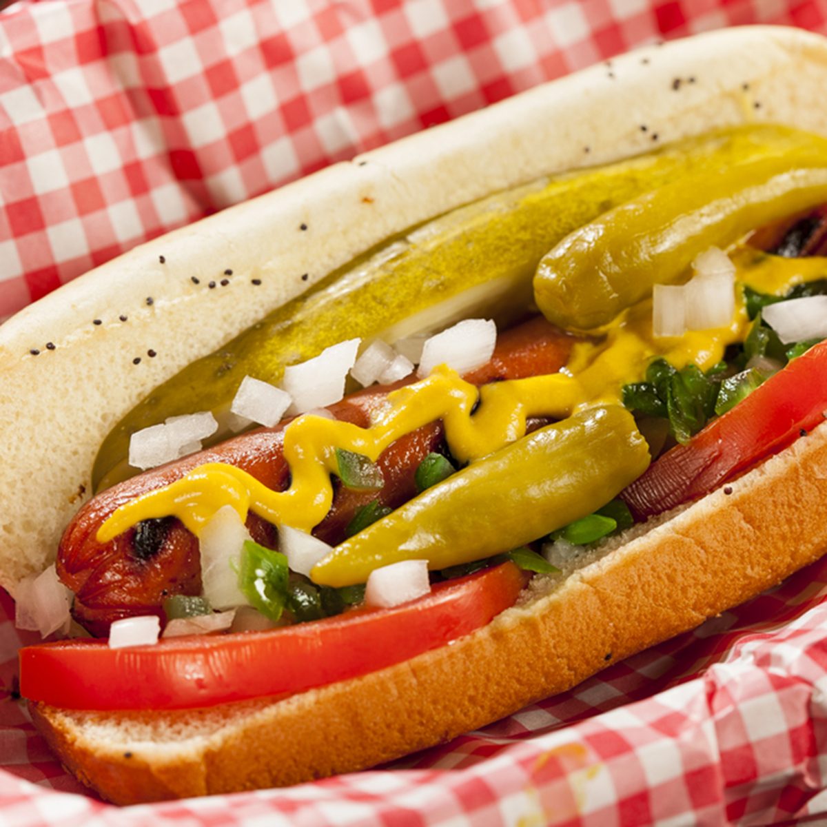Chicago Style Hot Dog with Mustard, Pickle, Tomato, Relish and Onion