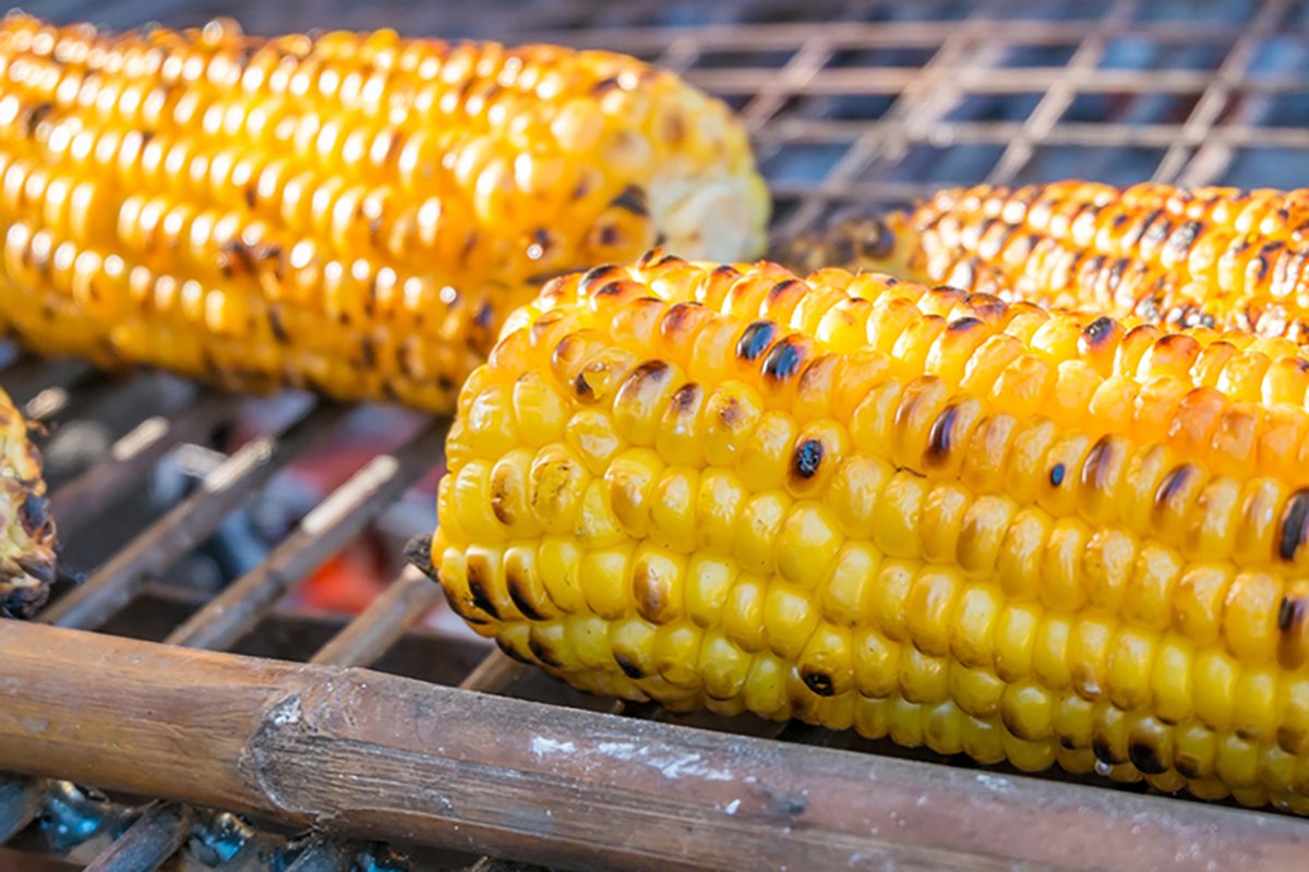 grilled corn on the cob