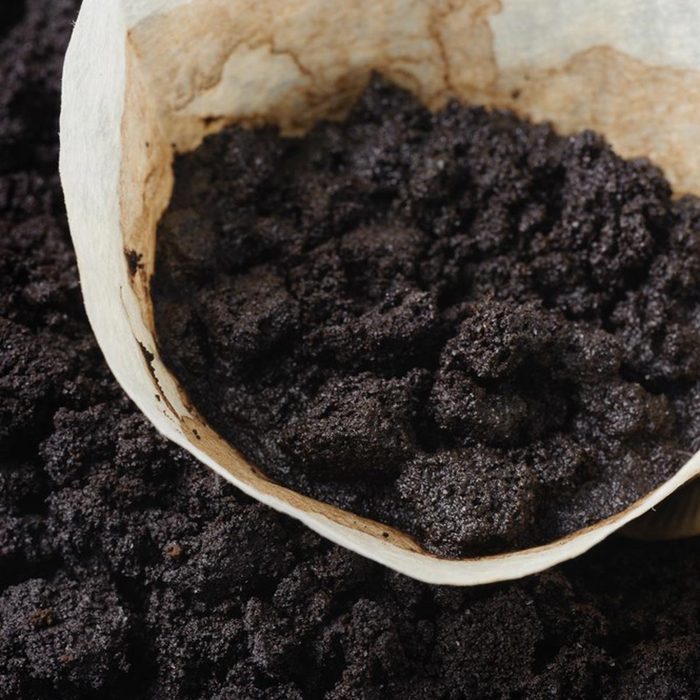 coffee grounds