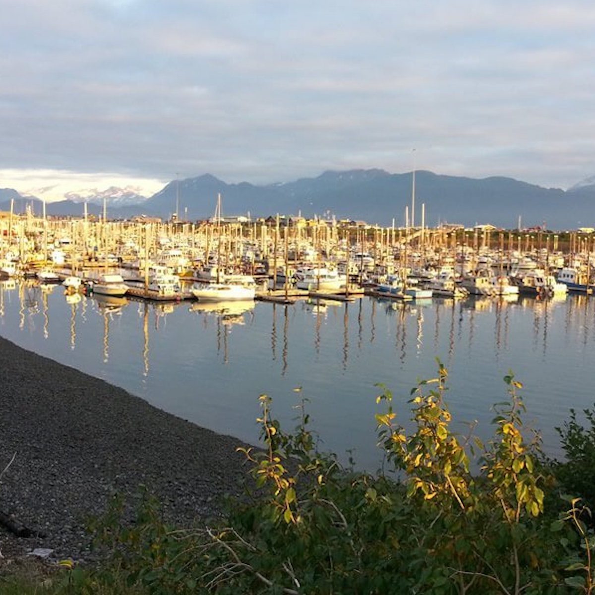 Majestic View Bed and Breakfast