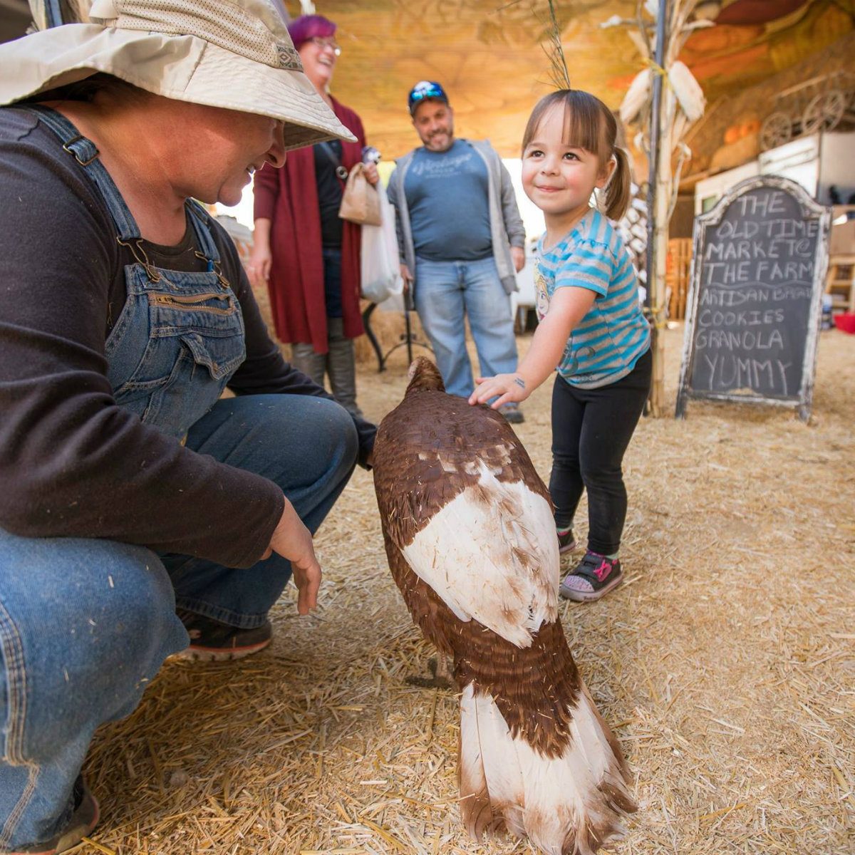 best farm tour nevada
