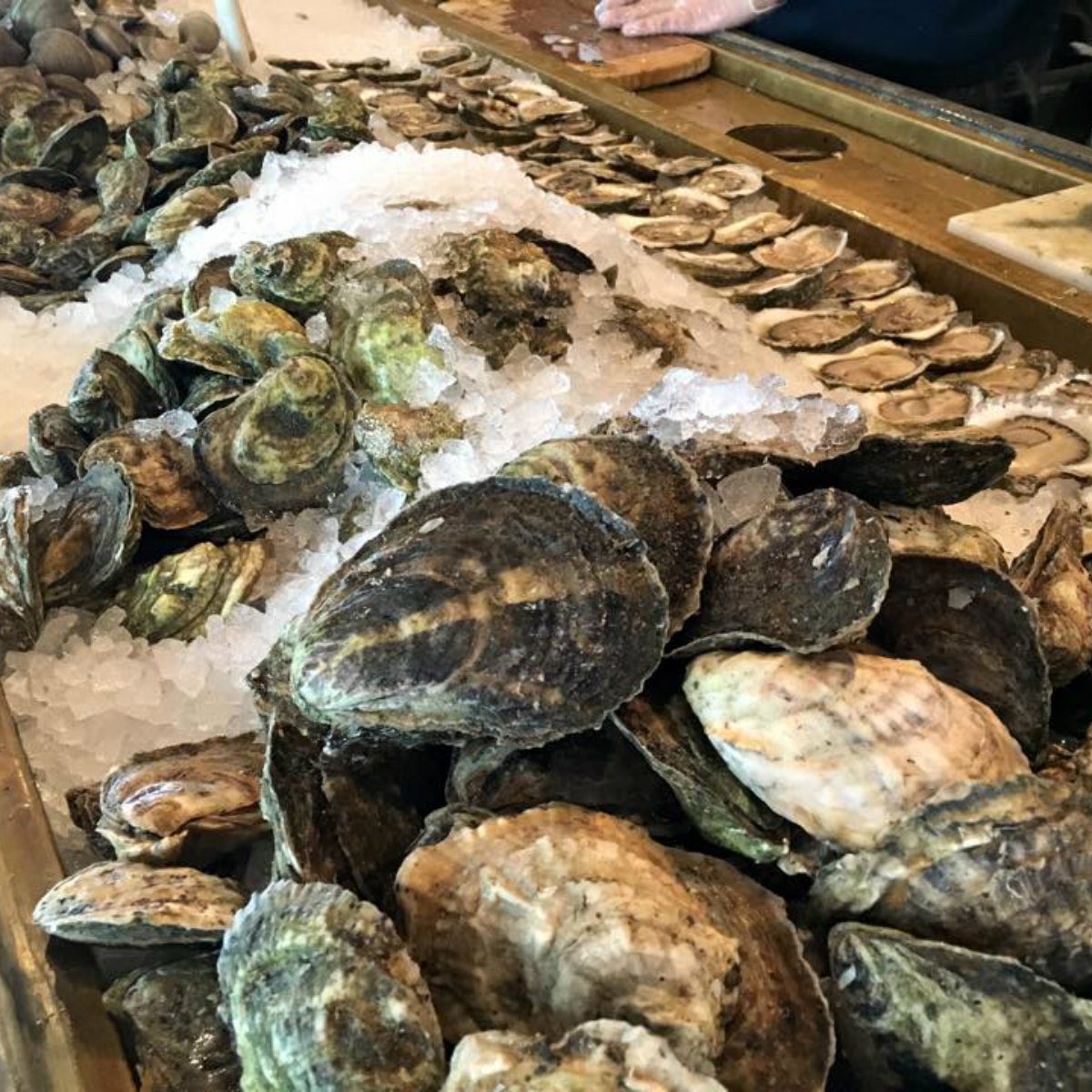 matunuck oyster bar farm tour rhode island