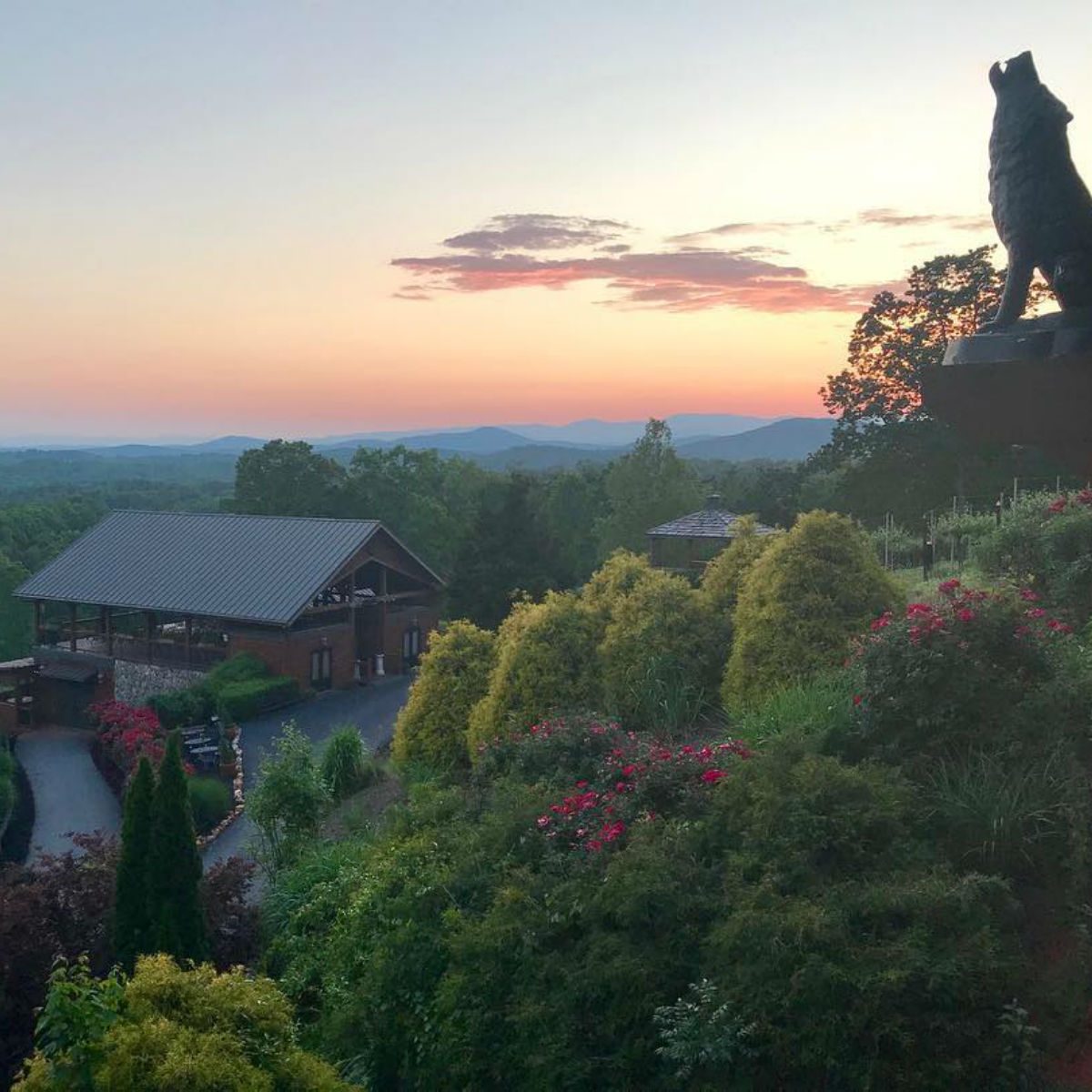 Wolf Mountain Vineyards at sunrise