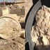 Archaeologists Find 3,200 Year Old Cheese With Highly Infectious Disease
