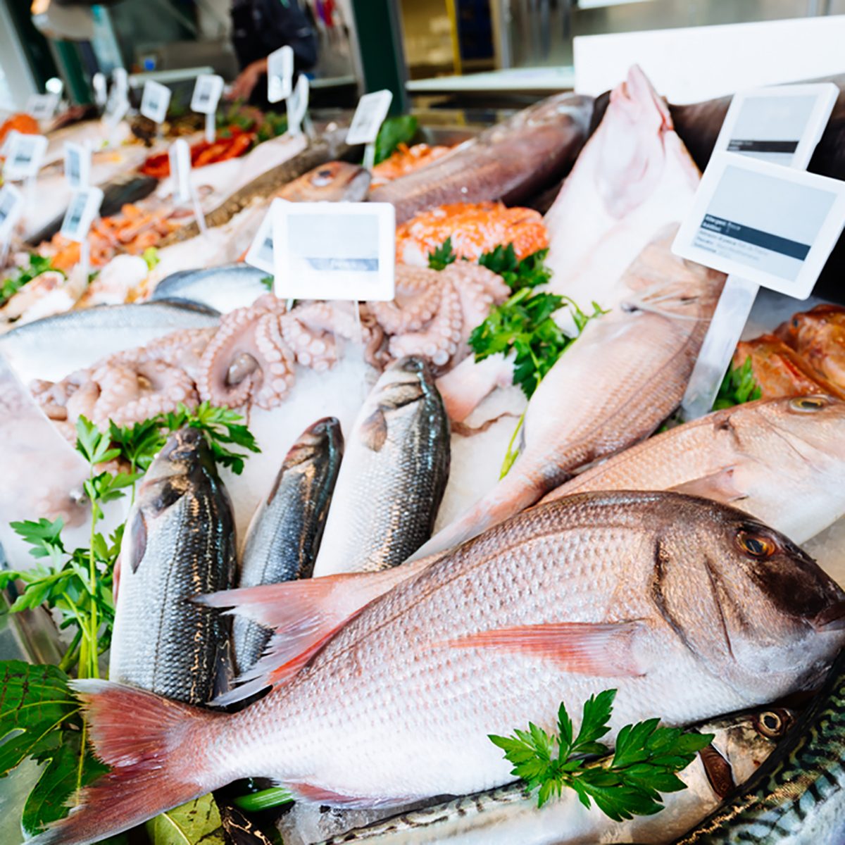 Fresh seafood on ice at the fish market