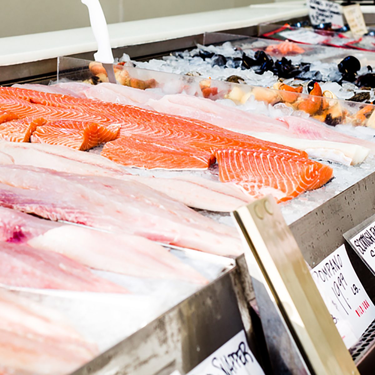 Fresh local seafood like salmon, pompano and oysters over ice on display with metal casing creating visual rhythm.
