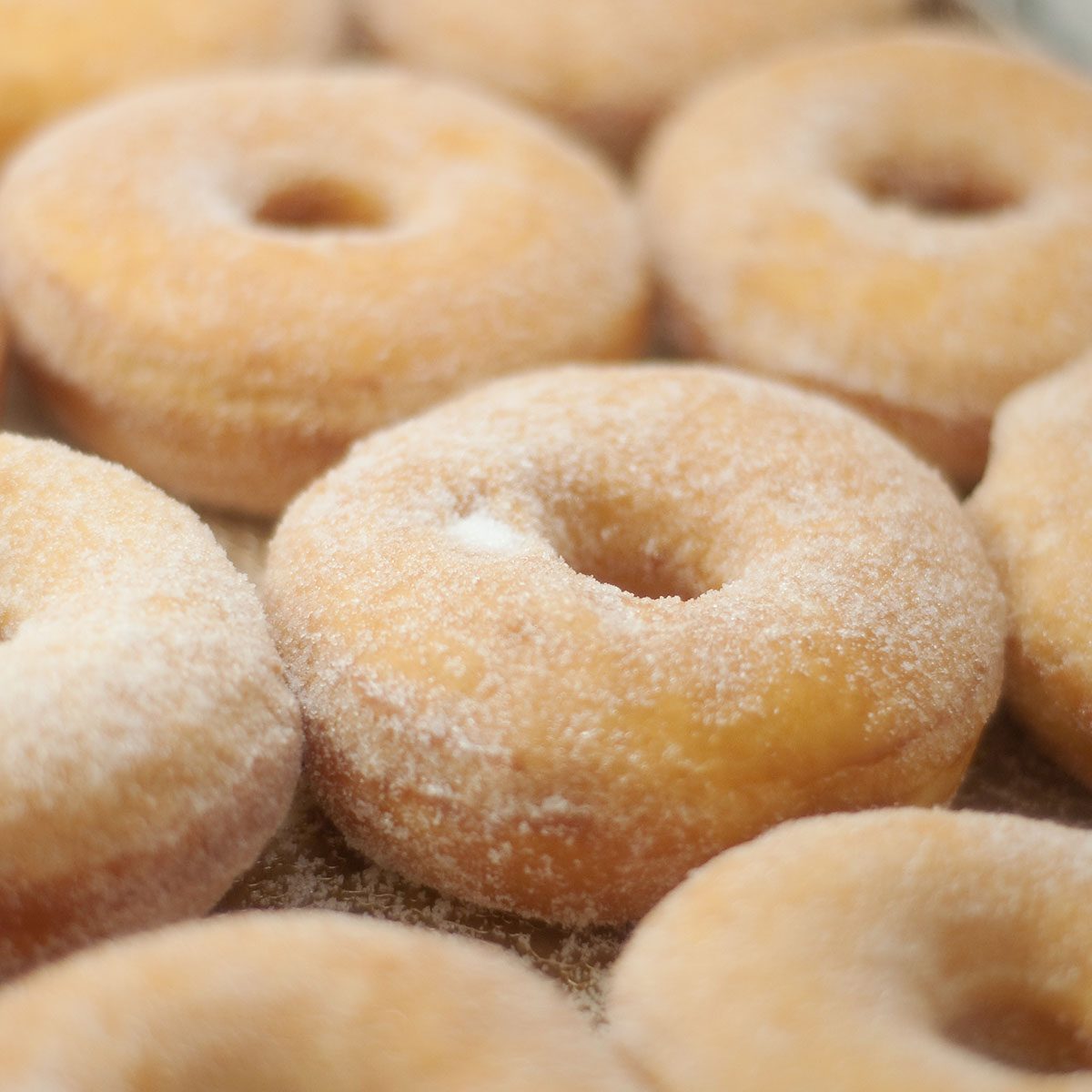a tray of sugar dusted donuts; Shutterstock ID 55775686; Job (TFH, TOH, RD, BNB, CWM, CM): Taste of Home