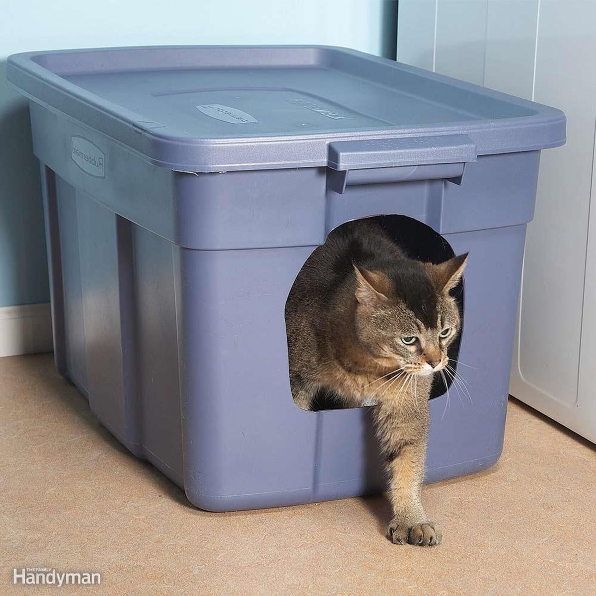 No mess litter box