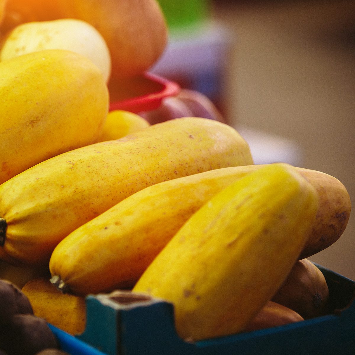 Organic pumpkins at Farmers' market