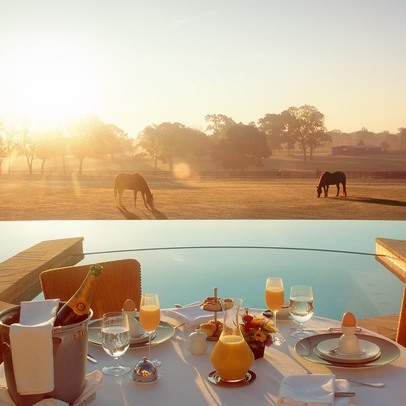 the inn at dos brisas texas