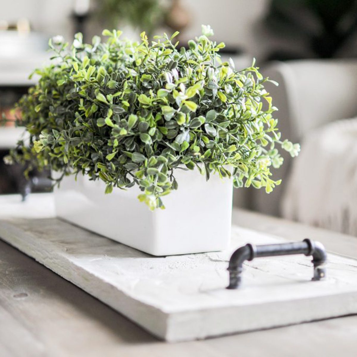 Concrete tray centerpiece
