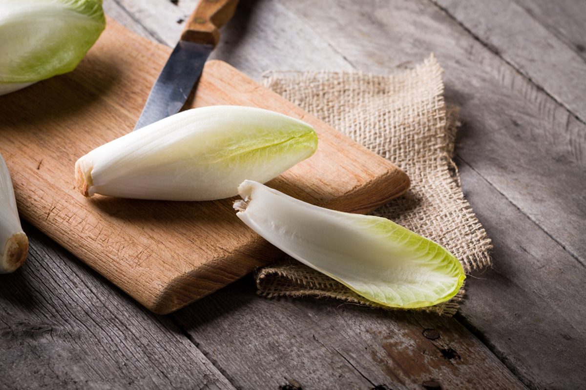 A Beginner’s Guide to Endive
