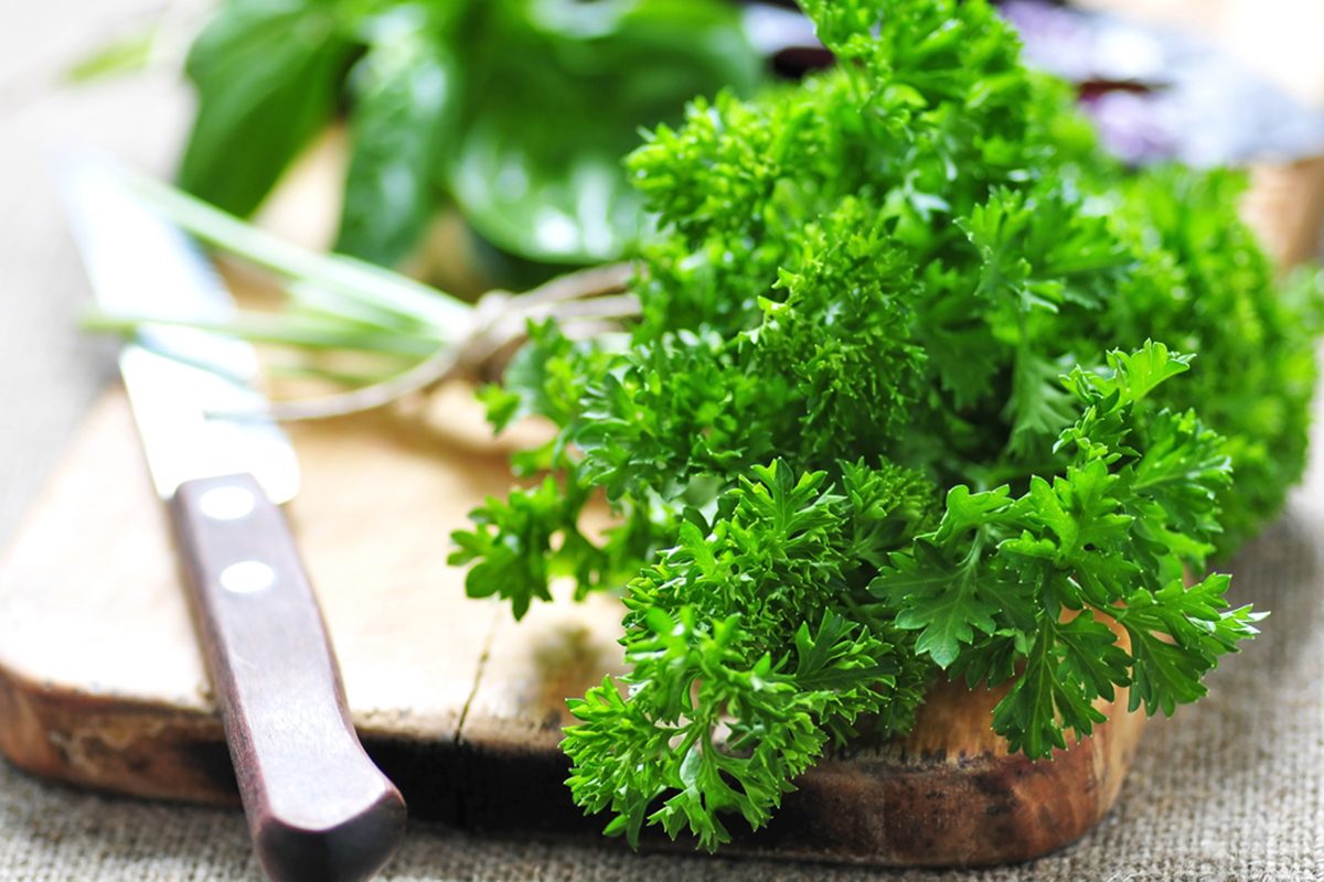 This Is the Best Way to Keep Your Herbs Fresh