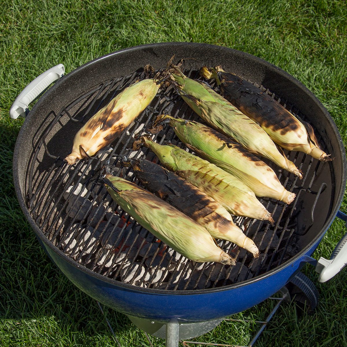 grilled corn
