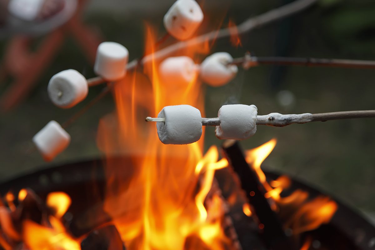 Multiple marshmallows extended over a camp fire to roast.