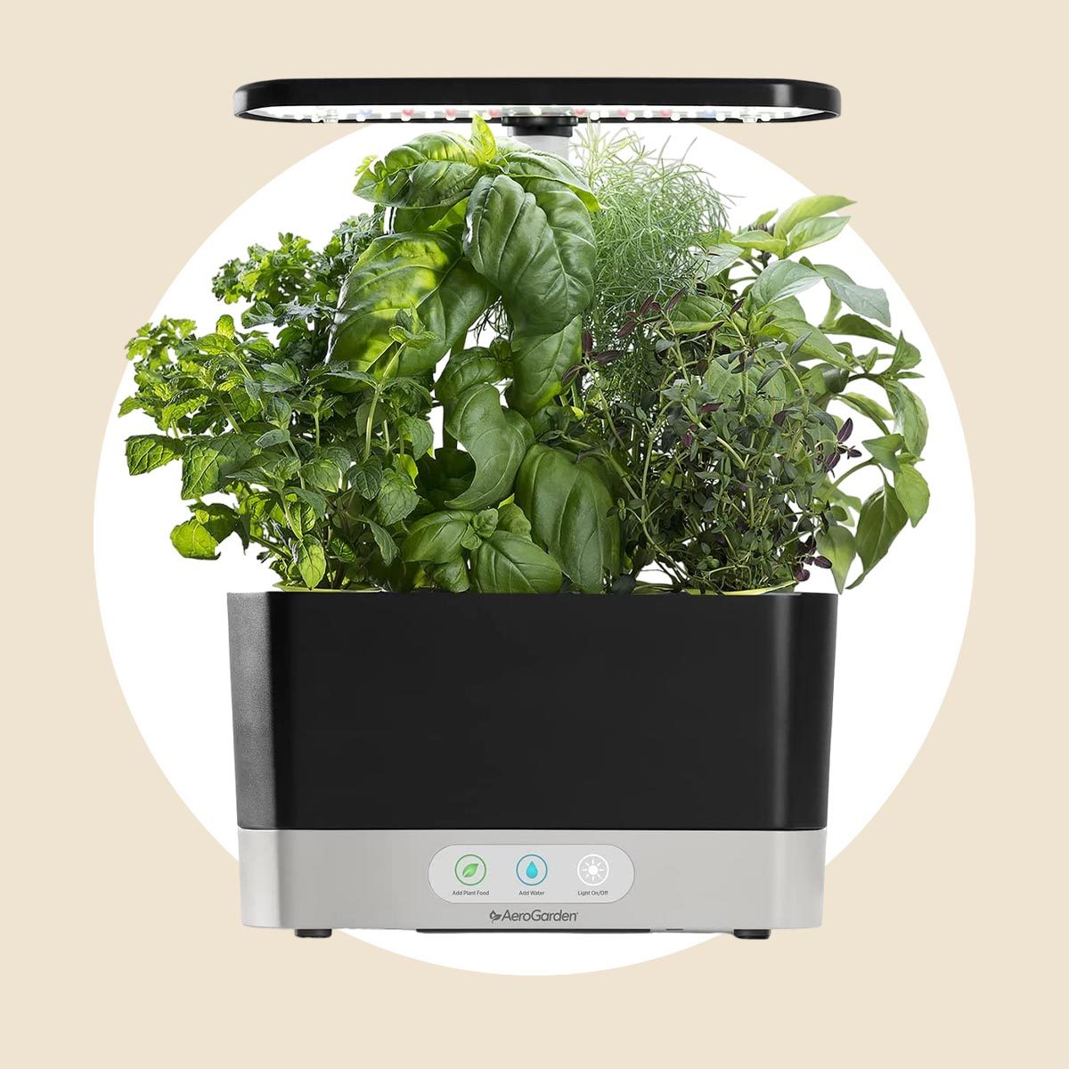 Indoor Garden Anniversary Gift