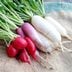 10 Radish Health Benefits You Need to Know
