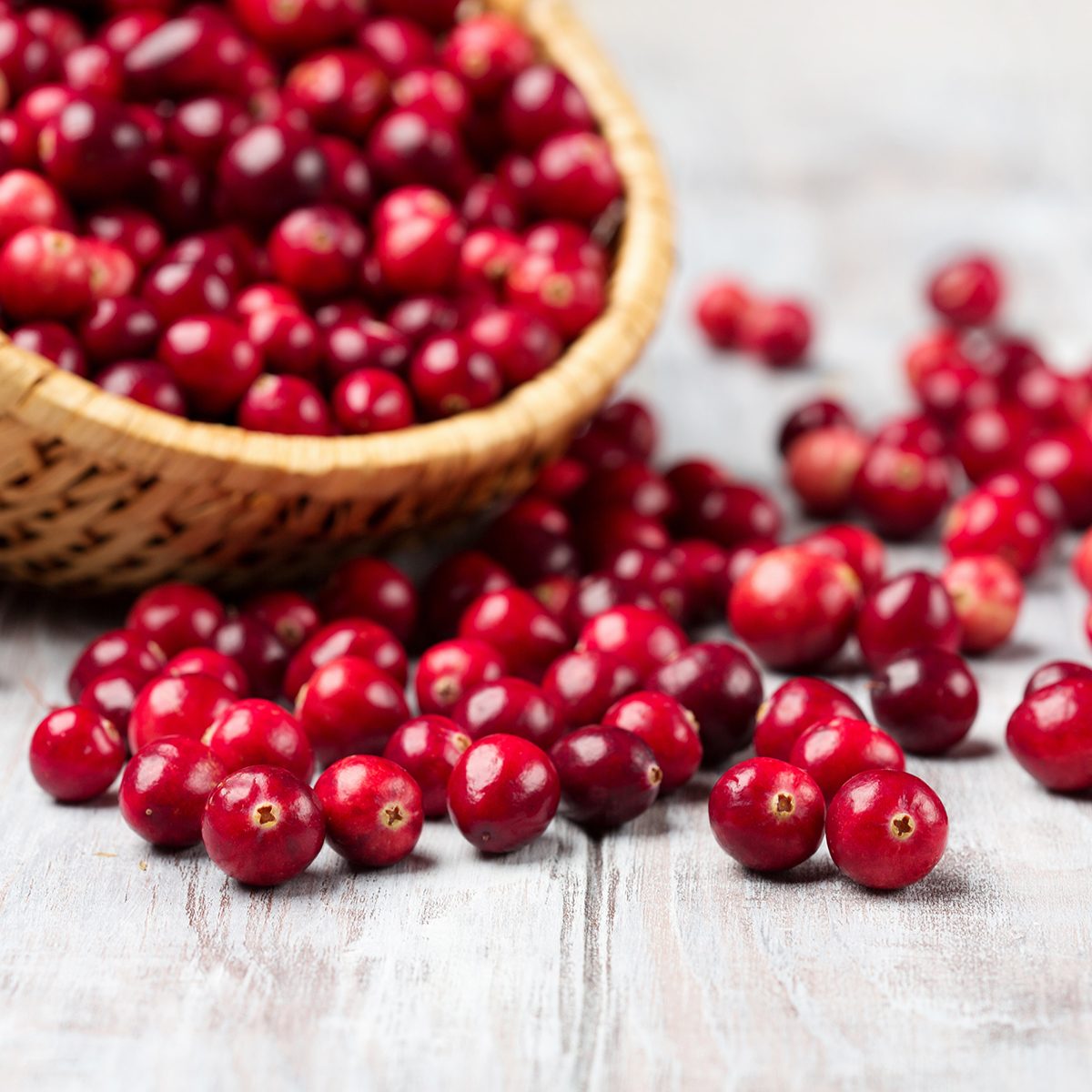 Harvest fresh red cranberries in wicker basket