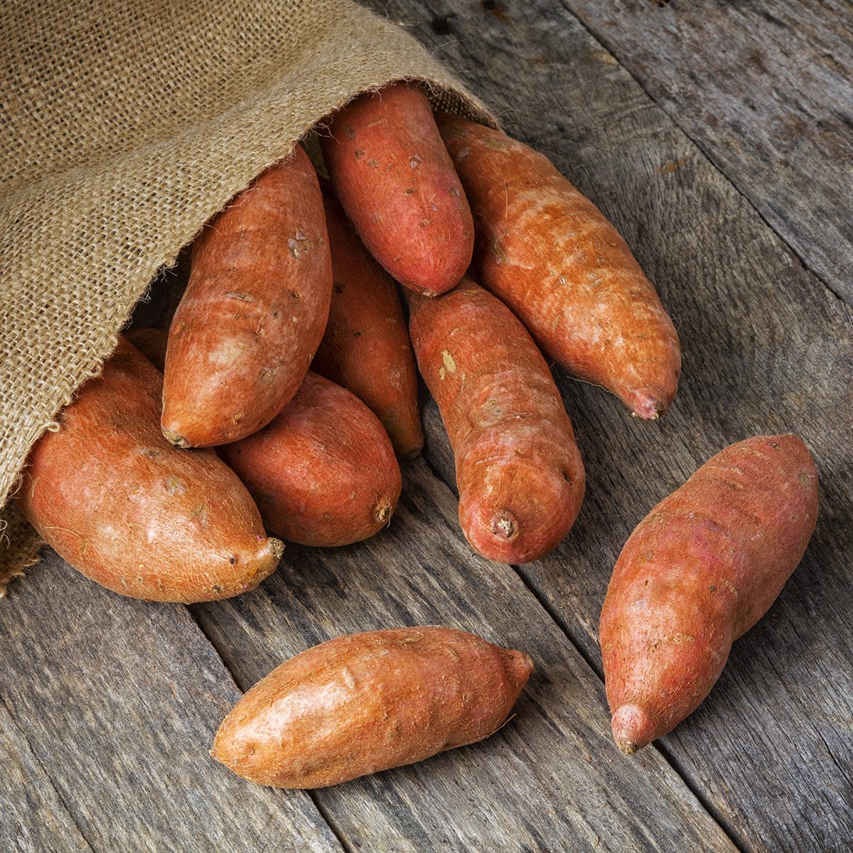 Freshly harvested organic sweet potatoes spilling from a burlap bag onto a natural weathered wood table.