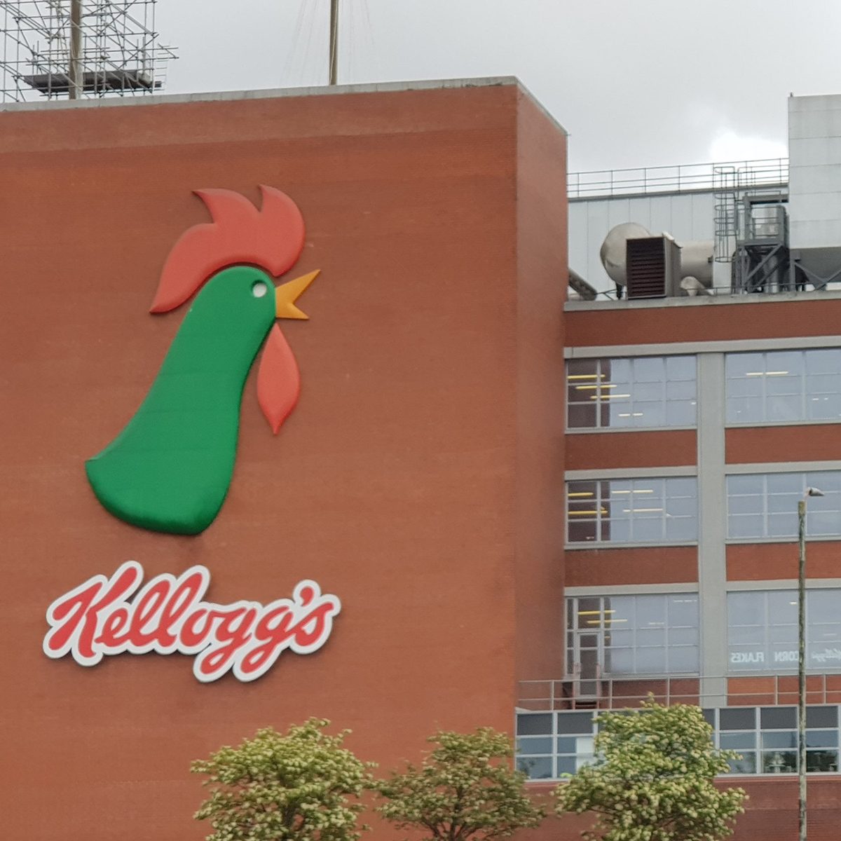 Kellogg