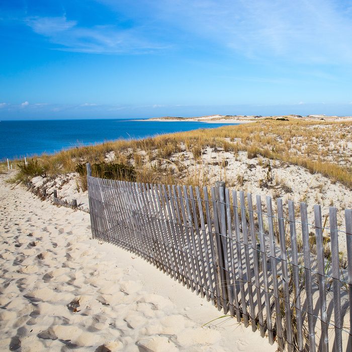 Peaceful Atlantic Ocean seashore view at Cape Henlopen in the State of Delaware a popular destination for relaxation and history.