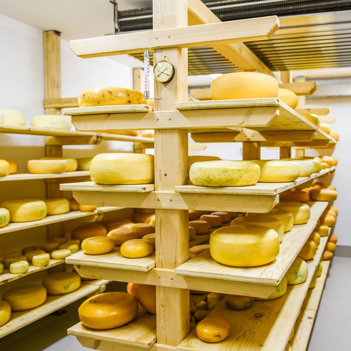 Dairy products (cheese, butter, cottage cheese, sour cream, yogurt) decorated, sliced, exhibited on wooden table in the kitchen.