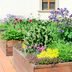 The Prettiest Veggies to Plant in Your Flower Garden