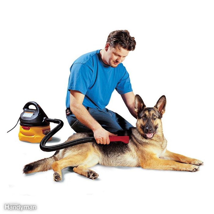 Man vacuuming german shepard
