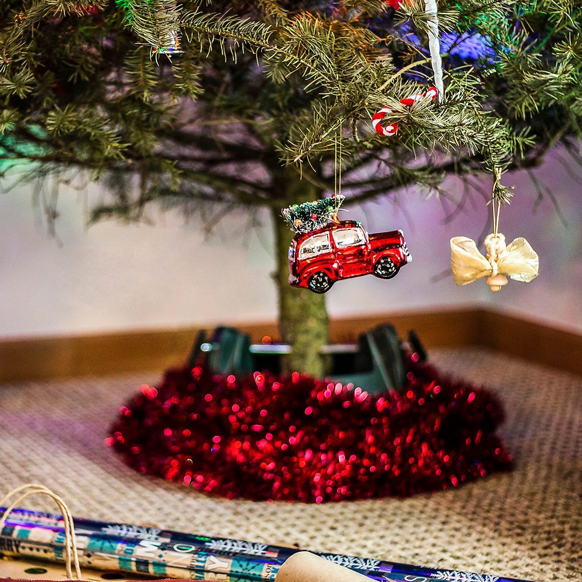 This is a photo of our Christmas tree & the craziness the happens when you