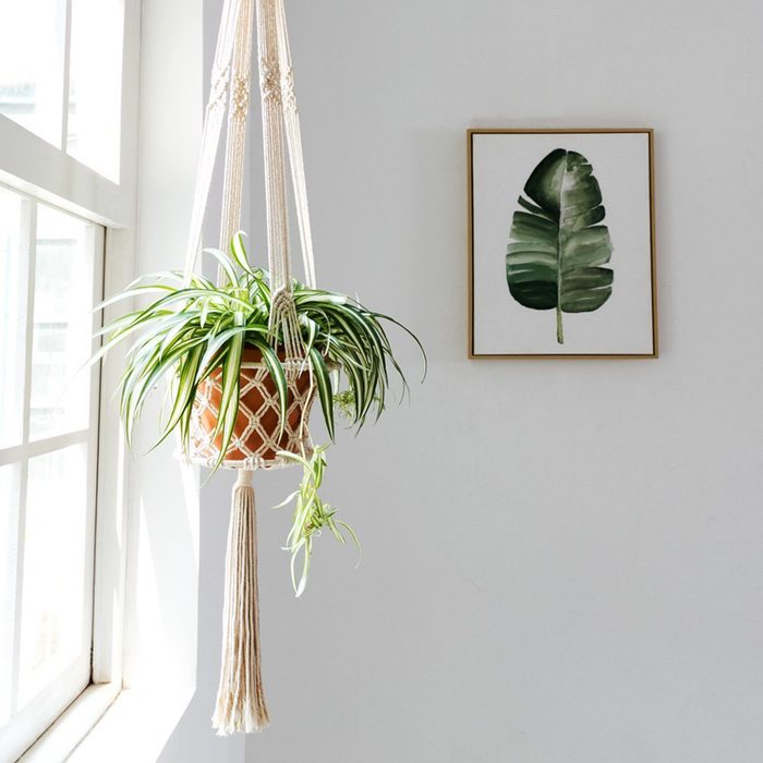Mkono Macrame Hanging Planter Basket Plant Hanger Home Decor, Up to 8 Inch Flower Pot