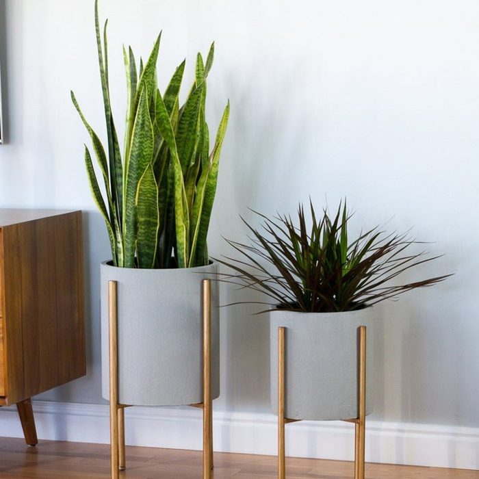 Aspire Home Accents 5742 Nabila Set of 2 Circular Metal Planters with Gold Base