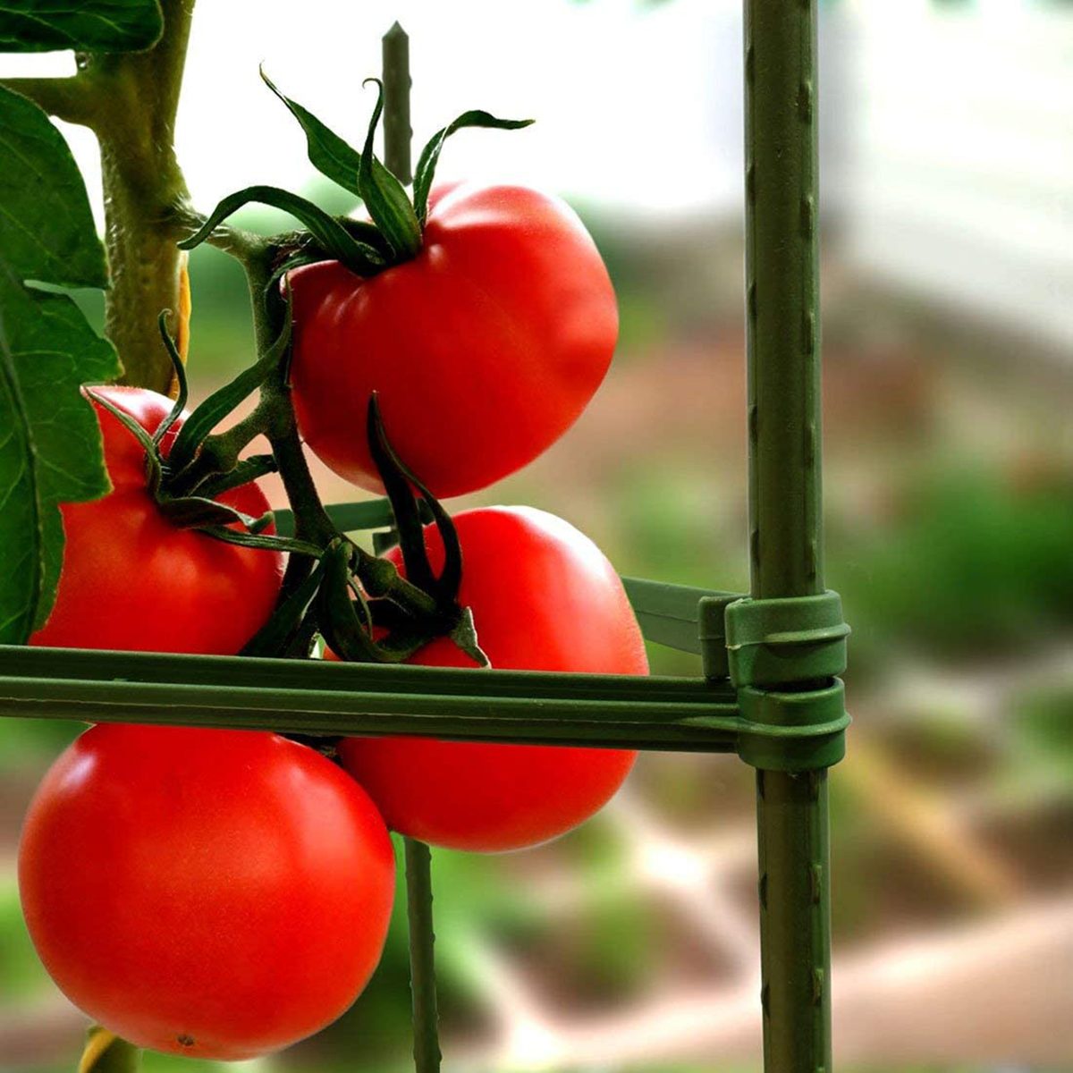 GROWNEER 3-Pack Plant Cages