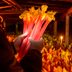 Forcing Rhubarb: This Growing Technique Will Give You Sweeter Rhubarb