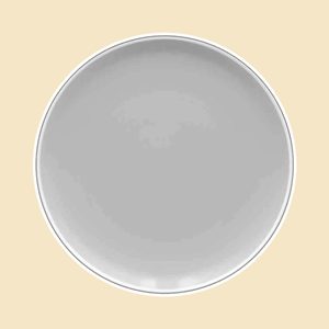 Noritake Dinner Plates