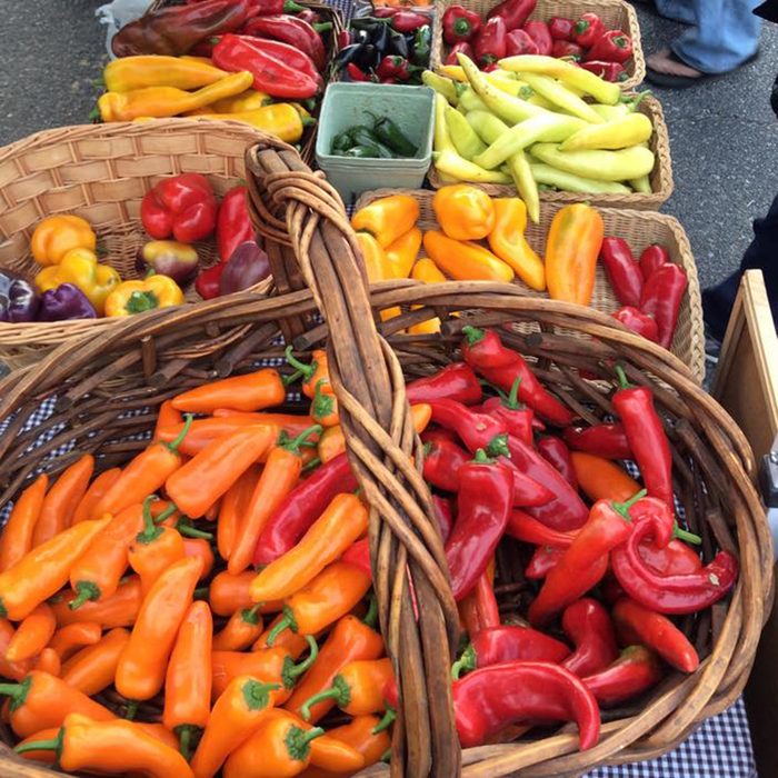 Kansas Grown Inc. (7001 W 21st St N, Wichita, KS)