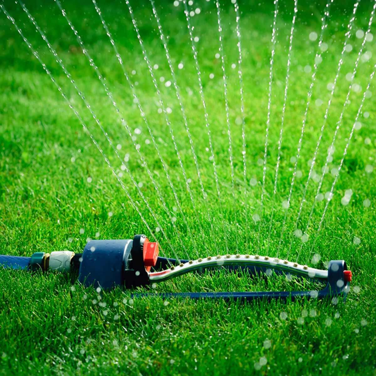 shutterstock_560254180 sprinkler watering the lawn new year