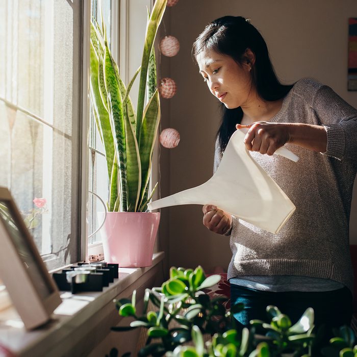 Australian Chinese woman waters the plants in her Sydney apartment