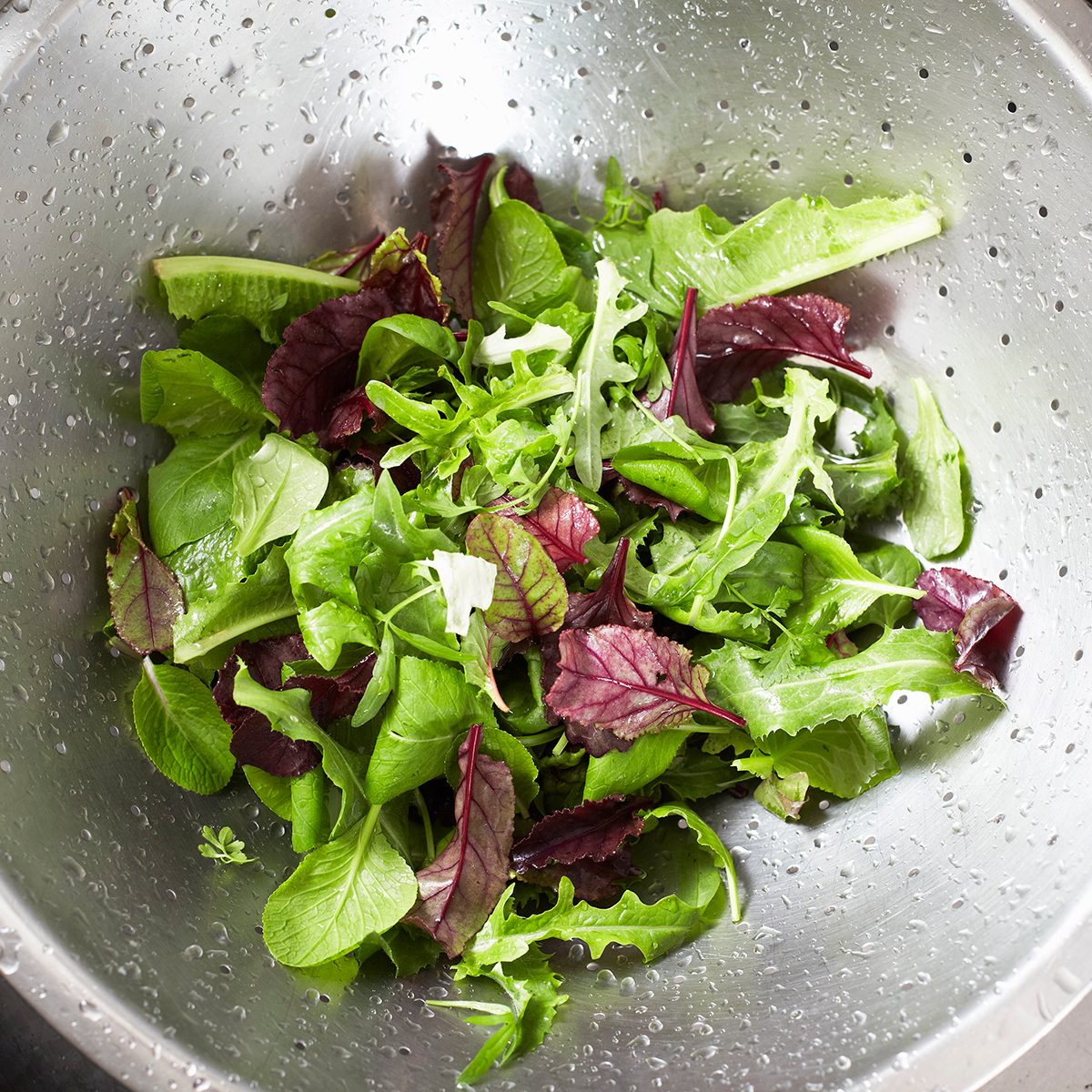 Washed salad in sieve
