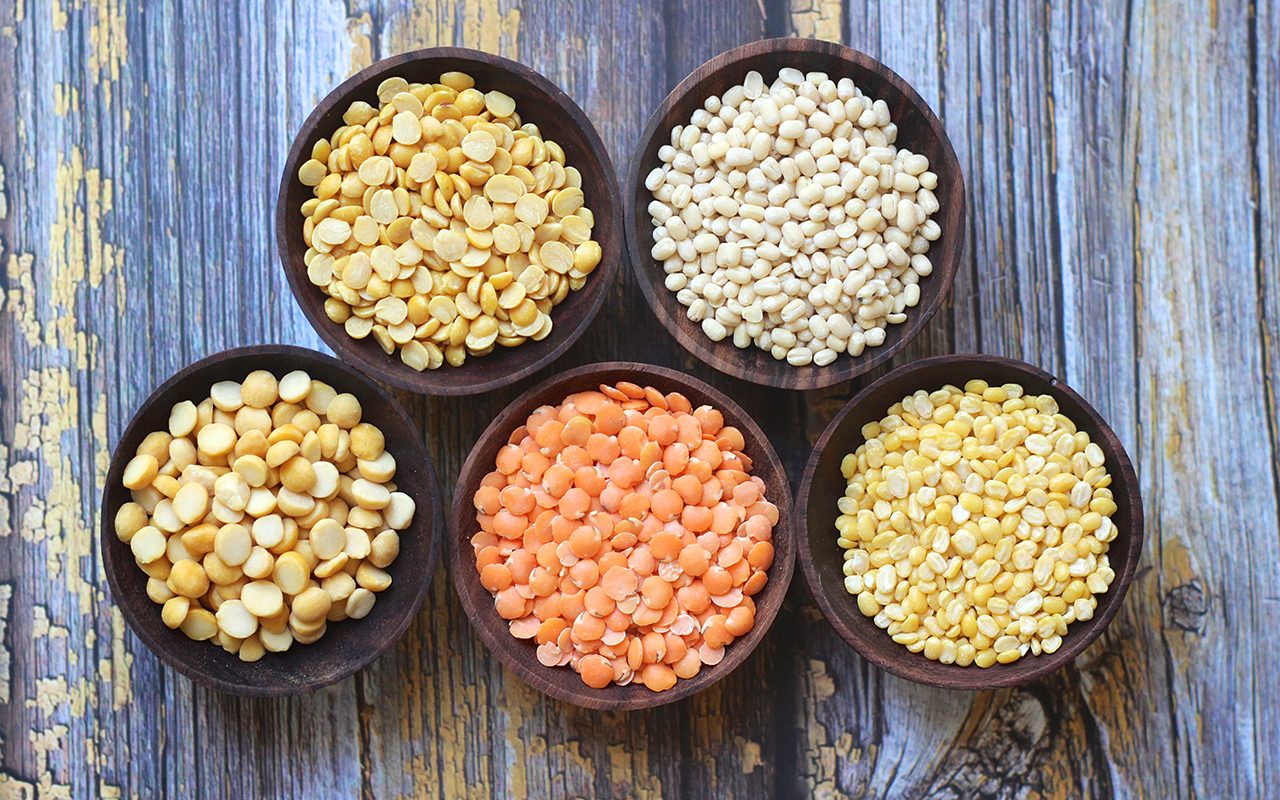 Variety of lentils