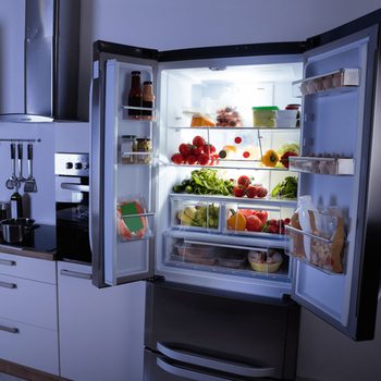 Open Fridge