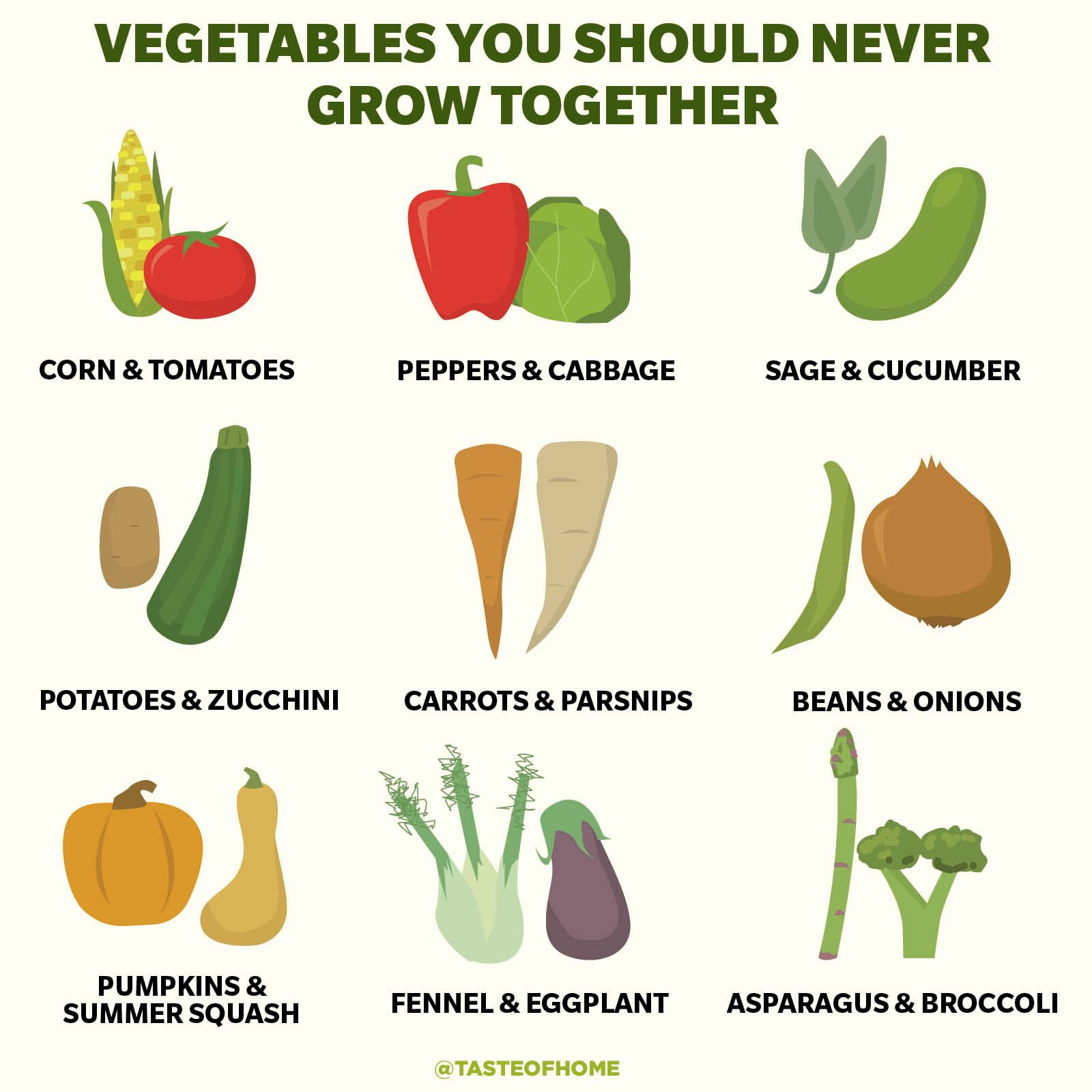 Vegetables You Should Never Grow Together 2