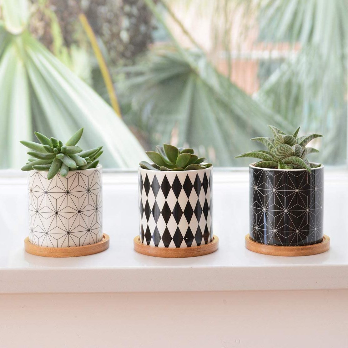 Chic Ceramic Herb Pots