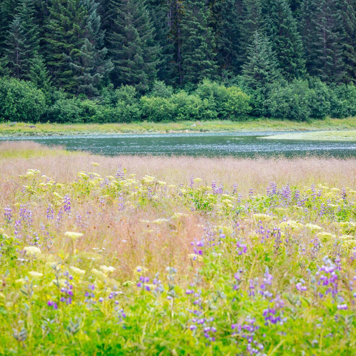 Bartlett River Hiking Trail